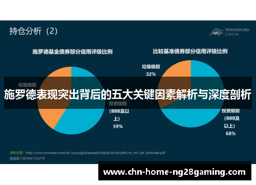 施罗德表现突出背后的五大关键因素解析与深度剖析