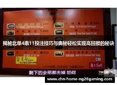 揭秘北单4串11投注技巧与奥秘轻松实现高回报的秘诀