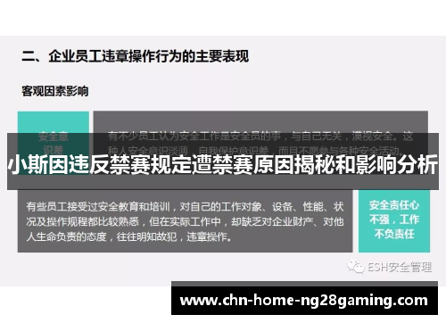 小斯因违反禁赛规定遭禁赛原因揭秘和影响分析