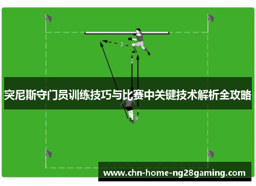 突尼斯守门员训练技巧与比赛中关键技术解析全攻略