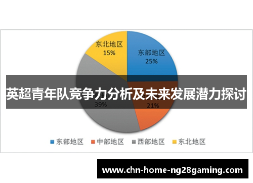 英超青年队竞争力分析及未来发展潜力探讨