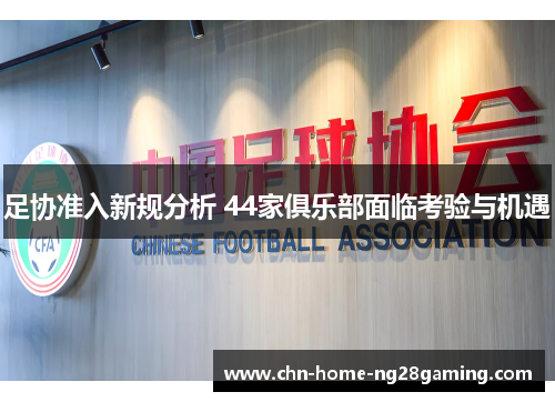足协准入新规分析 44家俱乐部面临考验与机遇
