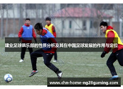 建业足球俱乐部的性质分析及其在中国足球发展的作用与定位