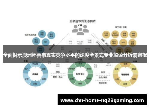 全面揭示澳洲杯赛事真实竞争水平的深度全景式专业解读分析洞察报