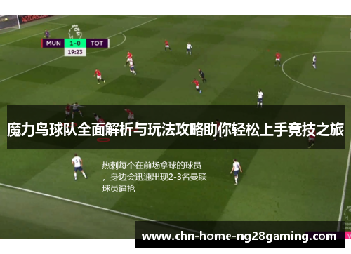 魔力鸟球队全面解析与玩法攻略助你轻松上手竞技之旅